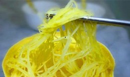 瓜缕可以吃吗,揭秘能否食用的秘密