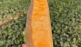 云优滑板吃瓜,吃瓜群众眼中的滑板潮流新宠