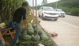 搬板凳坐着吃瓜