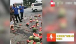 滕州阿豪吃瓜事件视频,一场网络热议的瓜田奇谈