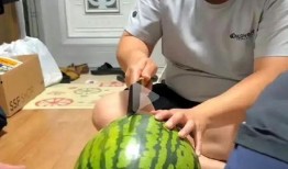 全家都吃瓜,共度欢乐时光