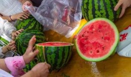 跪求吃瓜视频,全网跪求！揭秘热门吃瓜视频背后的秘密