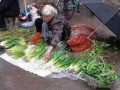 老人摘路边的瓜吃,传承民间生活智慧
