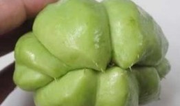 减肥吃佛手瓜文案