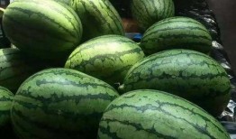 吃a瓜,网络热词背后的文化现象