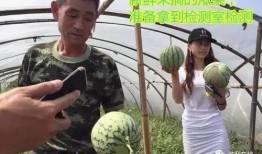 吃瓜群众不敢走,勇敢迈出第一步，不再畏缩不前