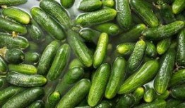 吃了小瓜吃大瓜会中毒吗,揭秘“吃大瓜中毒”真相