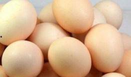 立夏吃的瓜吃蛋