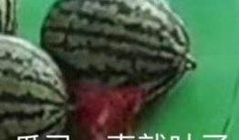 能别吃我瓜,一场关于网络热词的趣味探讨