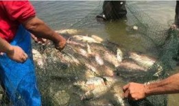 大学事件吃瓜,揭秘校园事件背后的真相与争议