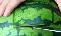 吃瓜都是有钱人,揭秘吃瓜背后的奢华生活